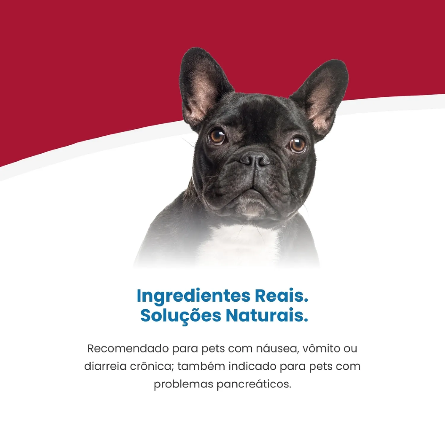 Ração Vet Life Gastrointestinal UltraCare Low Fat para Cães Adultos Raças Mini e Pequenas